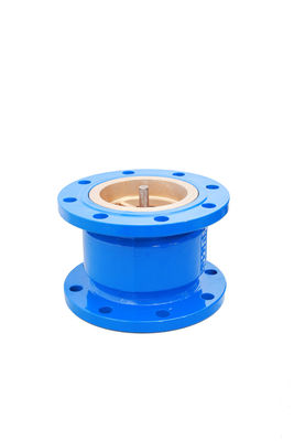 Full Flow Design DIN Silencing Check Valve Cast Iron Any Direction Installation