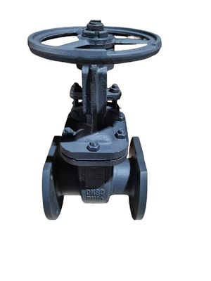 Supporting After-Sales Service for Carbon Steel GOST Gate Valves and Fitting