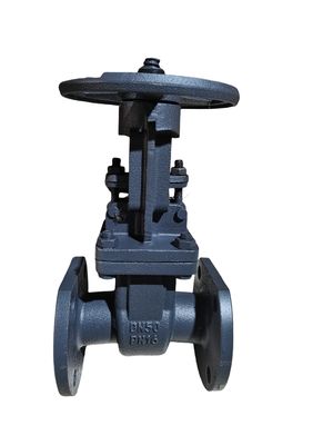 OEM Gost Cast Steel Gate Valves PN 16 DN 50 Manual For Steam And Heat Conduction Oil