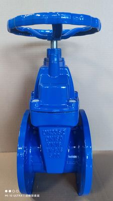 Industry BS5163/ EN 1171 PN25 Resilient Seated Ductile Iron Gate Valve with Rising Stem