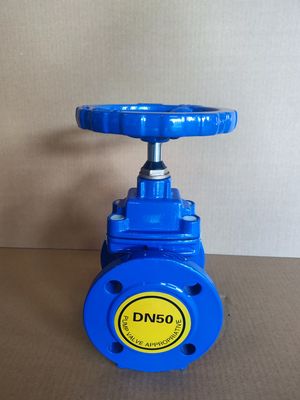Customized Ductile Iron Flanged Soft Seal Pn16 Gate Valve with Manual Operated Function