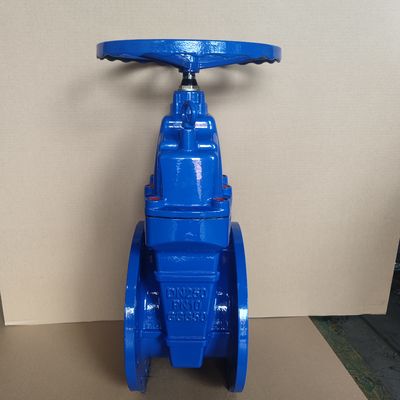 Gate Valves DIN3352 F4 Cast Iron Resilient Seated Valve with 2Cr13 Trim
