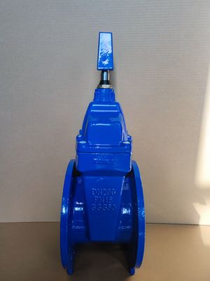Industry Water Valve Resilient Seat Soft Flange Water Control Cast Iron Gate Valve