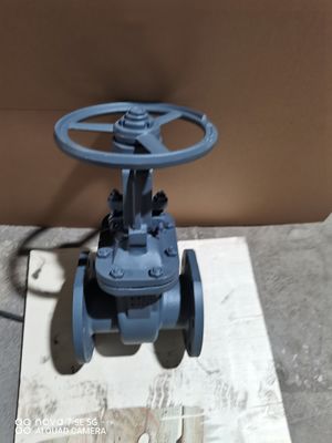 GOST Gate Valve DN50 PN16 Cast Steel for Oil Gas Water -29°C to 425°C