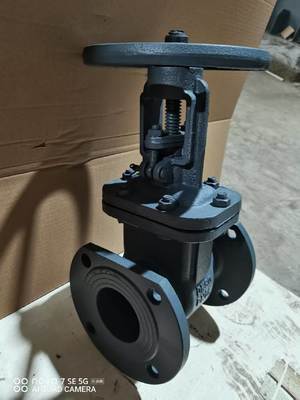 GOST Gate Valve WCB DN100 PN16 for Russian Market
