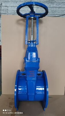 Rising Stem Flexible Wedge Gate Valve in Cast Iron for Industrial Flow Control