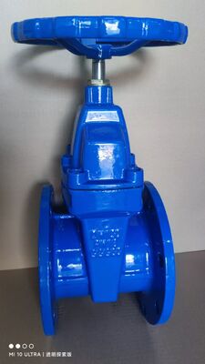 Non-Rising Stem Resilient Seated Gate Valve with Bidirectional Sealing for Water and Wastewater Systems