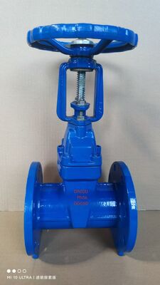 Resilient Seated Gate Valve with Rising Stem for Bubble-Tight Sealing and Low Operating Torque