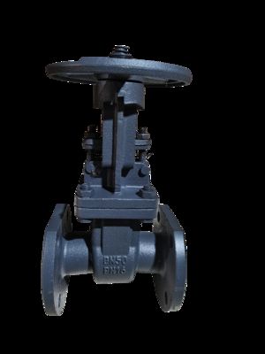 GOST Gate Valve WCB DN50 PN16 for Oil Gas Systems