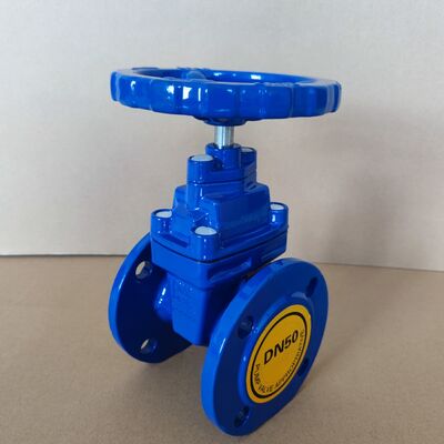 F4 Type Raised Face Flanged Gate Valve with Split Body Design and Rising Stem for Industrial Applications