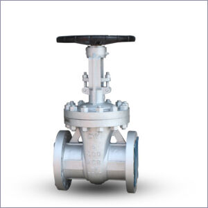 Industrial Gate Valve with EPDM/NBR/PTFE Sealing, 150LB/300LB/600LB Pressure Rating, and API 598 Testing Standard